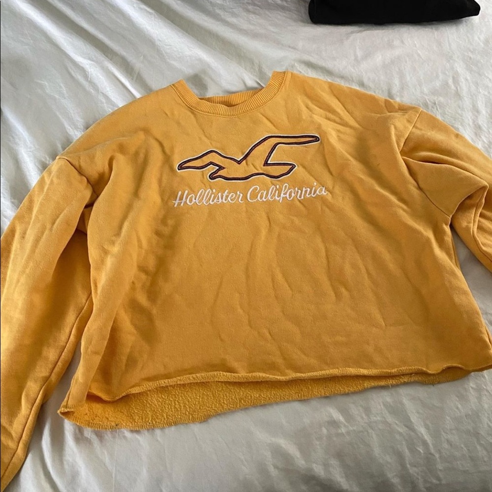 Hollister crew neck
